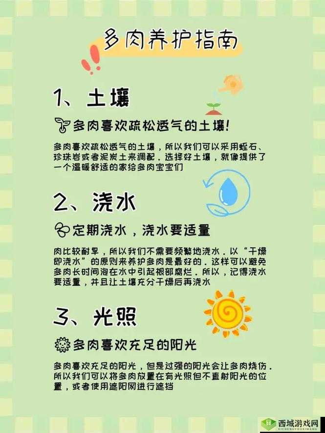 皇家共享小公主多肉怎么养：实用养护指南