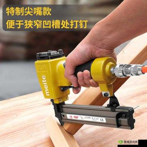提枪直入两扇门:一场意想不到的冒险