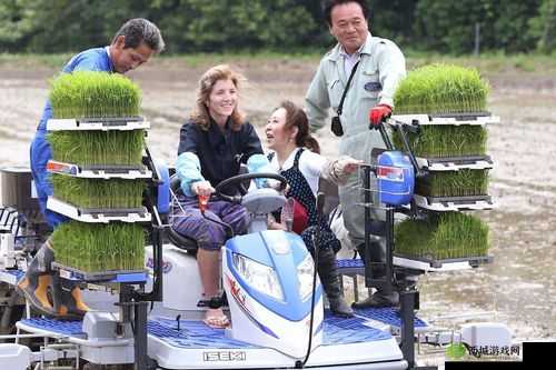 外国情侣插秧方法：独特的农田劳作方式