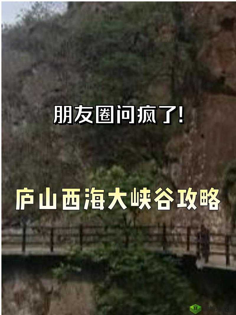 77 网站:独特体验等你来