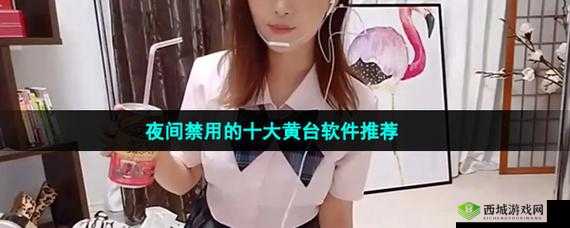 夜里十大禁用软件 APP :为何被禁