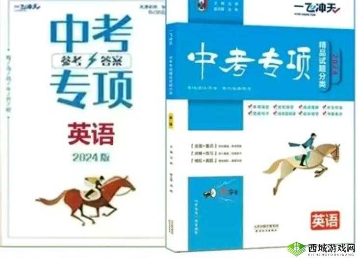 暴躁老阿姨的 CSGO 秘籍：实战技巧大揭秘