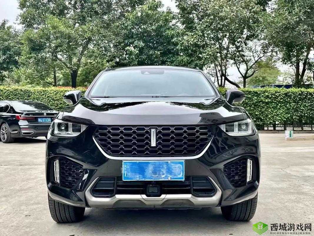 weyvv5 国产 SUV 视频展示:年轻时尚的驾驶之选