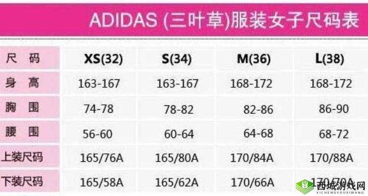 三叶草M码与欧洲码的详细区别解析-全面解读