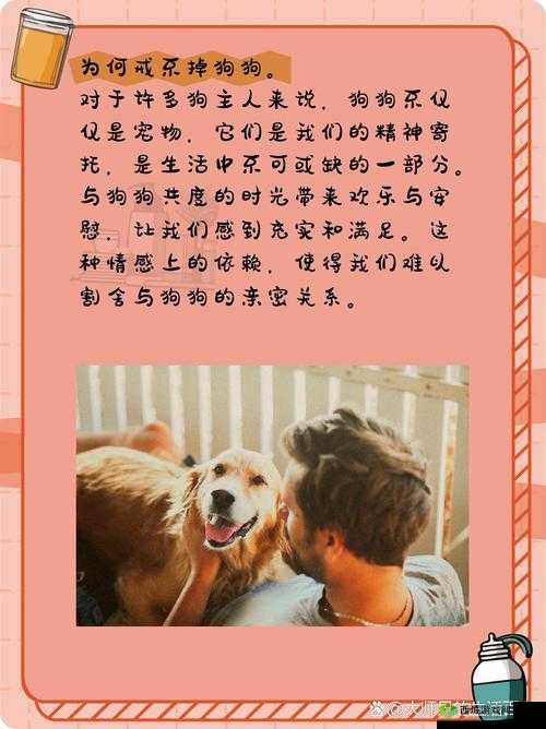 狗狗让我上瘾戒不掉：爱宠如命，该如何是好？