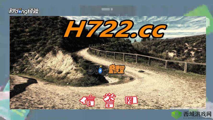 黄金网站 APP 视频播放画质选择:提升你的观看体验