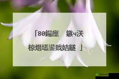 娆х編绮句骇鍥藉搧涓浜屼笁绫讳骇鍝佺壒鐐：绮句惊世骇俗