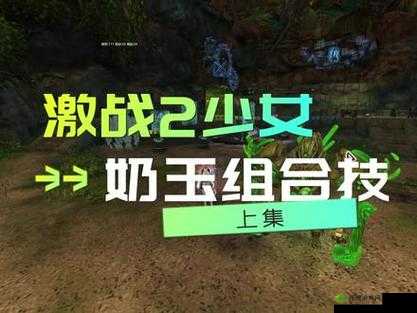 激战 2 奶玉与敏玉区别是什么