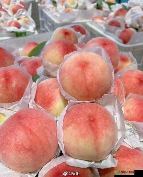 6708 杏色水蜜桃:美味水果新宠