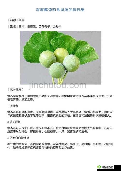 爆炒多汁小美人的一百种方法：详细解读