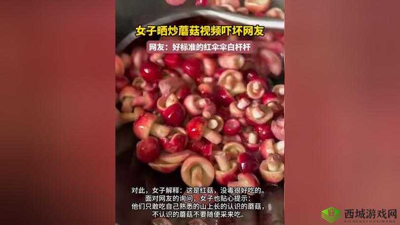 蘑菇视频黑料爆料：震惊背后隐藏的秘密