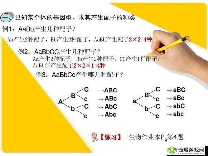 是 AAA 好还是 AABBCC：二者该如何选择