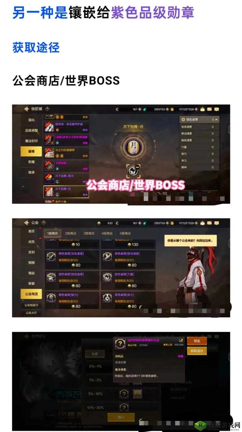 《图攻略：DNF手游公会勋章获取全指南》