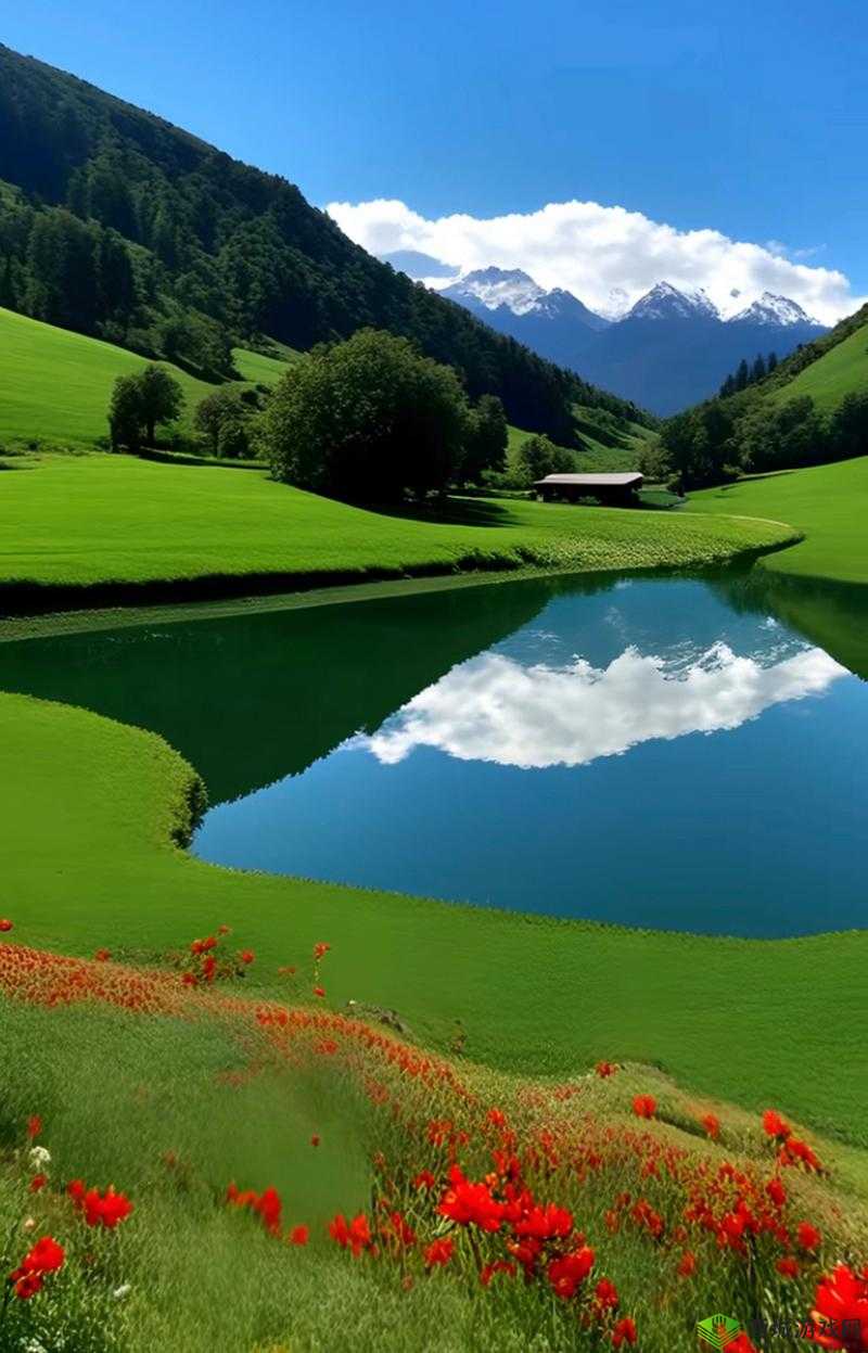 中国 Windows 野外:探索自然之美
