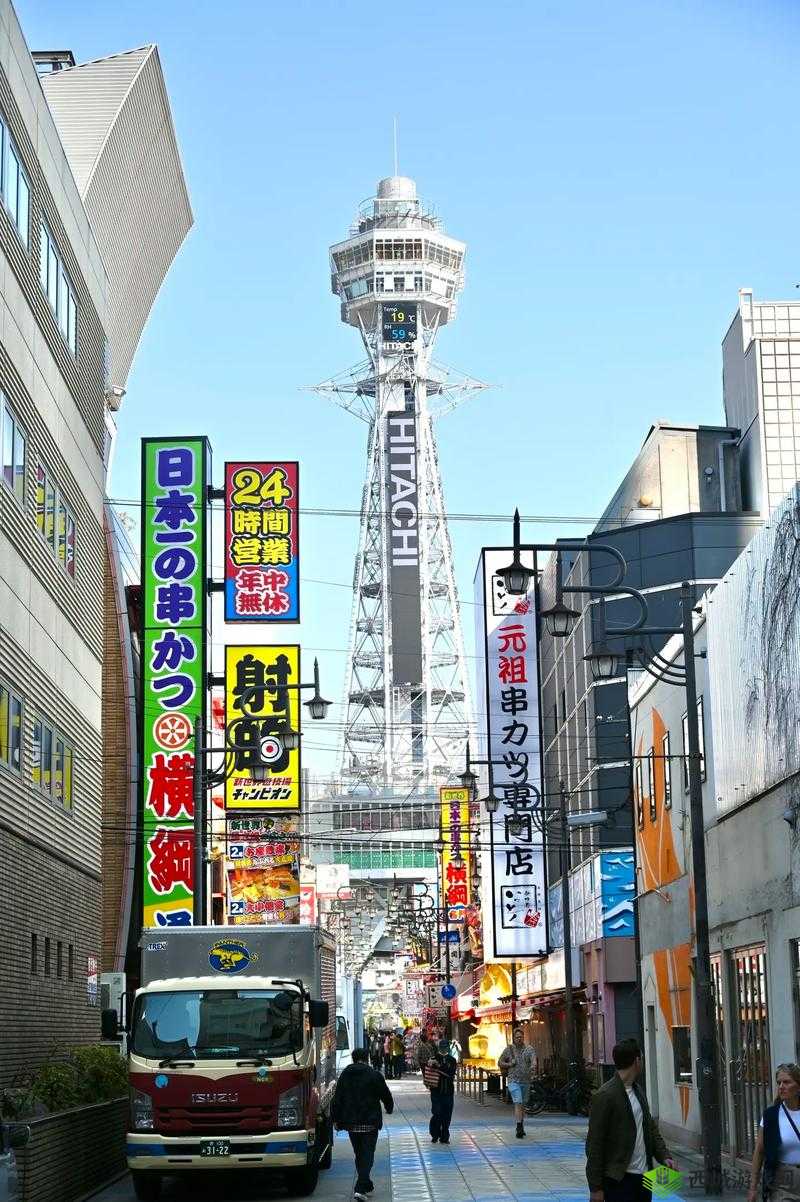 日本综合一区：独具特色的区域风貌