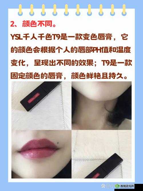 ysl 千色：t9t9t9t9 内容全免费，畅享无限制