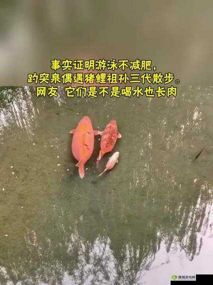女人绝技鲤鱼喝水:精彩绝伦的表演