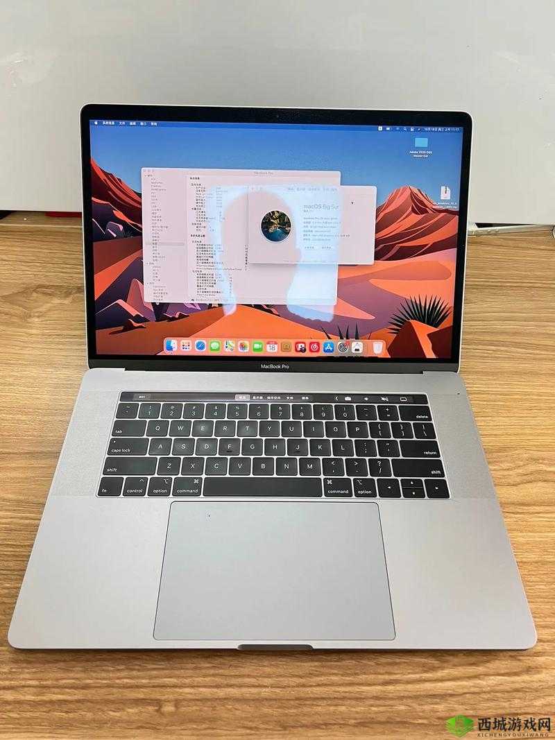 18 岁 macbook pro 高清功能,值得拥有