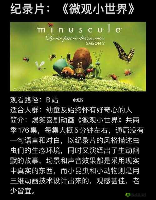 世界上最小 BB 有几个：探秘世界纪录