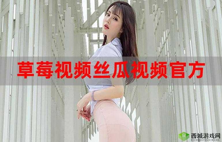 丝瓜草莓小猪鸭脖视频 APP 免费:精彩内容等你看