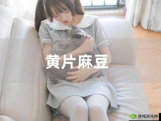 麻豆 1 区 2 产品乱码芒果:优质内容的创造者
