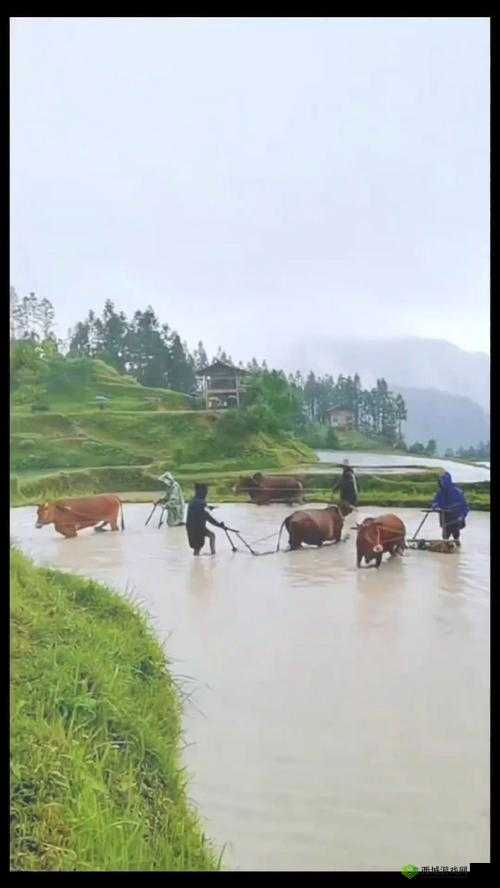 趁父不在:子代父职耕亩田