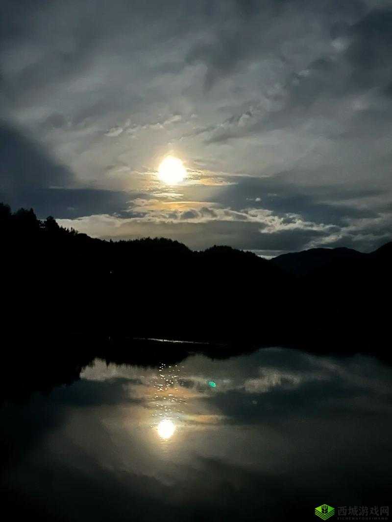 月色网:夜色下的独特魅力