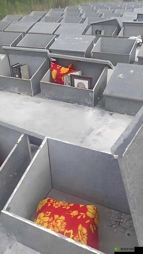 军妓被抵在树干上 H 视频:一段令人震惊的历史记录