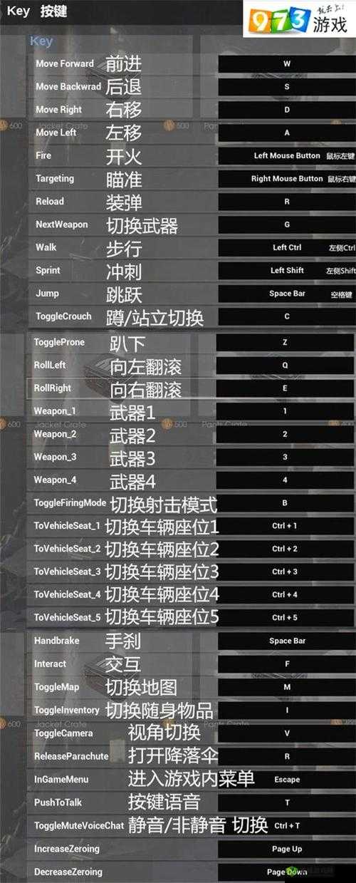 绝地求生大逃杀组队攻略：如何快速组队及策略建议