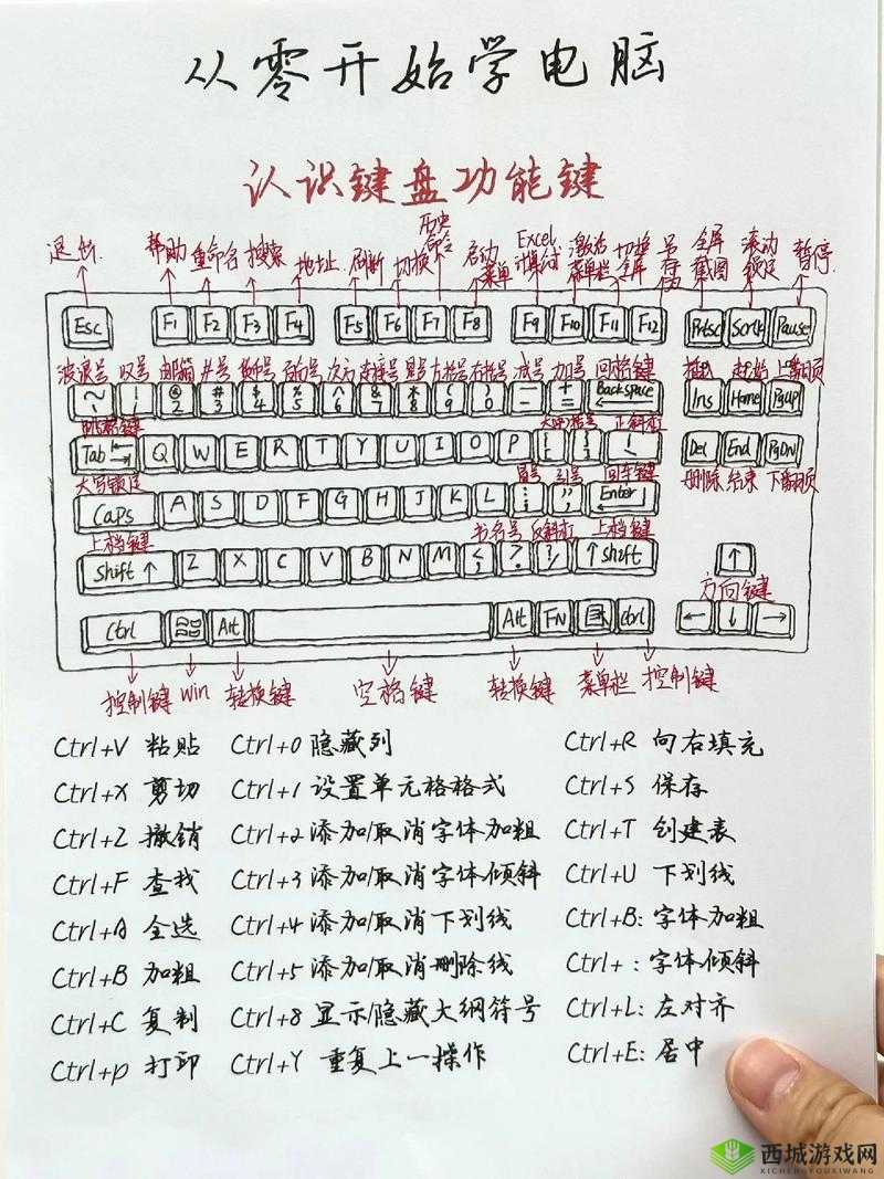 我是面包全面操作指南:键盘与手柄按键的详细操控说明