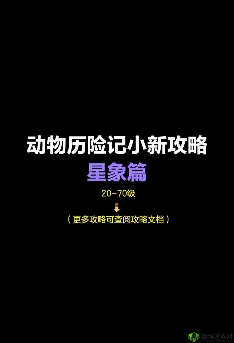 上新游啦 1k2k舞动精灵宠物全方位攻略:培养技巧与要点解析