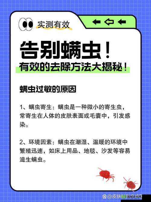 螨虫，生活中的微小威胁与应对策略