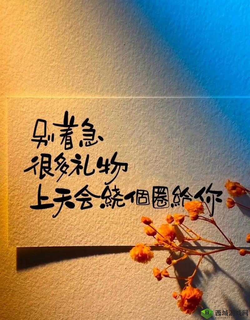 黑料正能量不肾虚：积极向上充满活力勇往直前创造美好未来