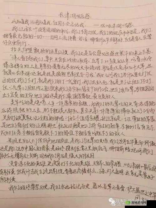 日本人 XXX 的别样人生经历与感悟
