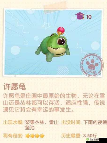 摩尔庄园手游许愿龟，神秘与幸运的化身