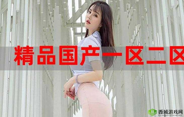 国精产品 9AA ：引领行业新高度的卓越之作