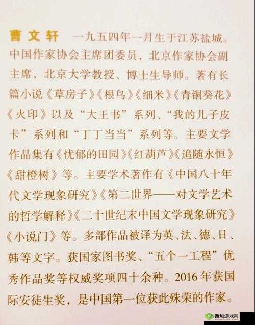 文学之旅，探索曹文轩笔下的情感世界与贼船的深层意蕴