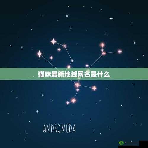 猫咪最新永久地域网名是什么：探索其背后的神秘意义