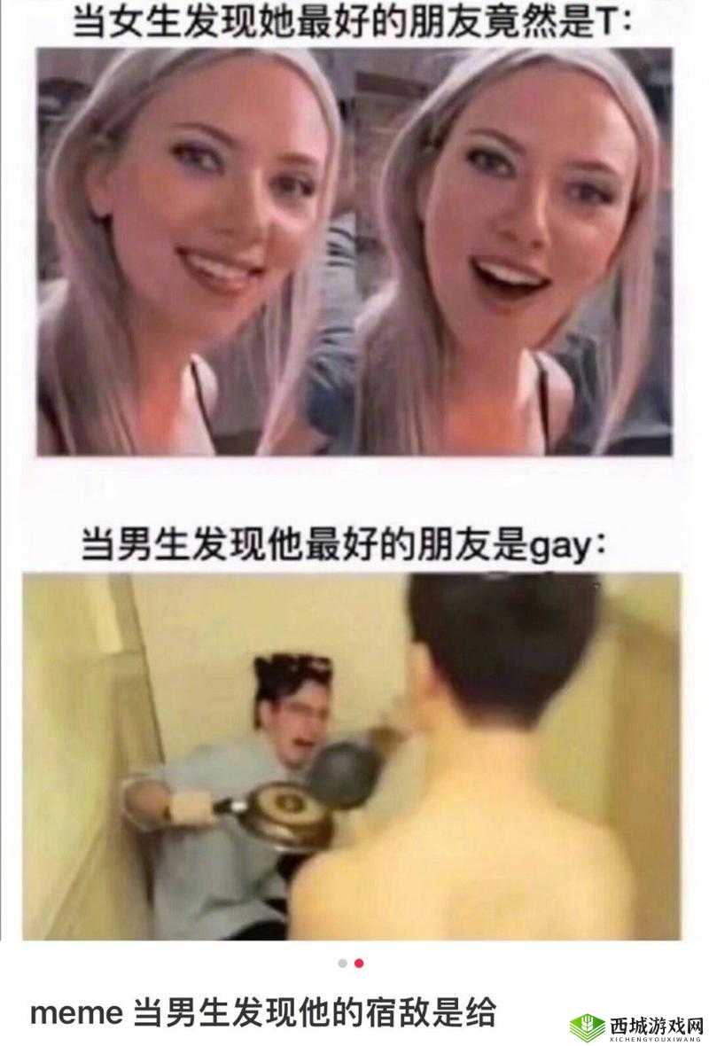 Gay鈥哫XGay:关于它的深入探讨与分析