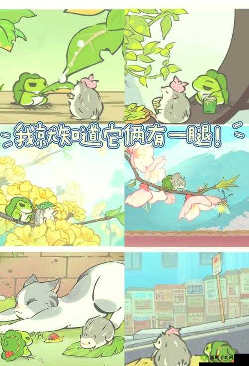 旅行青蛙中国之旅，探索羁绊背后的奇妙世界
