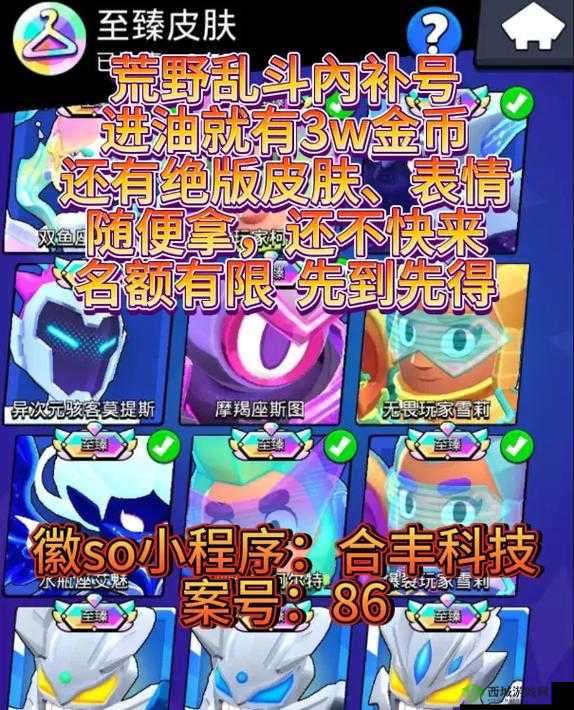 荒野乱斗Max使用技巧，速度与策略的完美融合