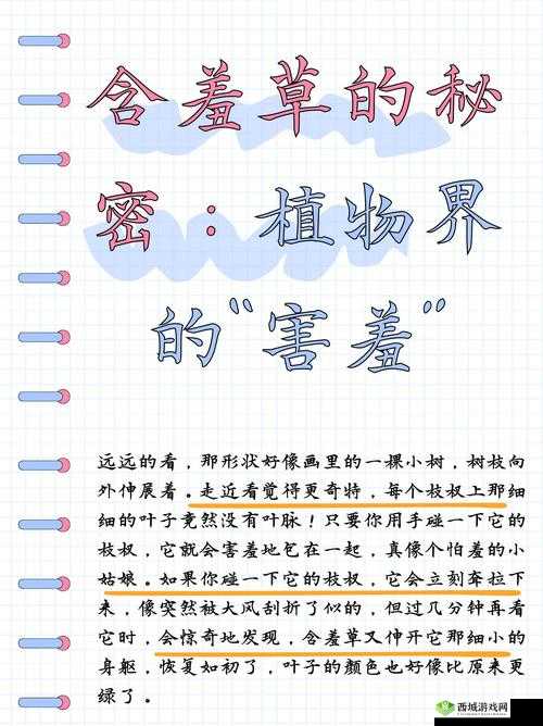 含羞草的茎:早轻晚重,你知道为什么吗?