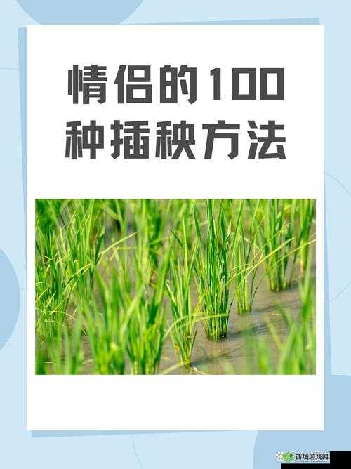 夫妻之间的 100 种插秧法:深度探索夫妻协作的农耕妙方