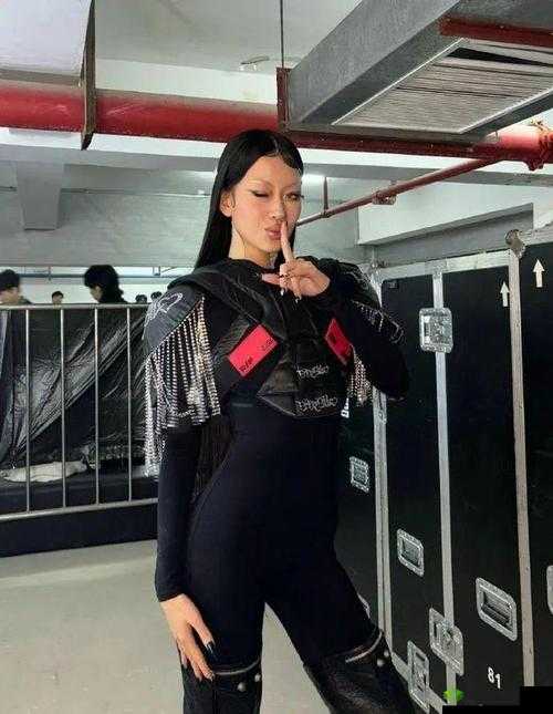 盘点 18 位优秀的女说唱歌手:她们为何能称霸嘻哈界