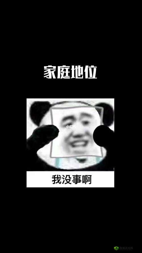 家有三狼君:温馨搞笑的家庭日常