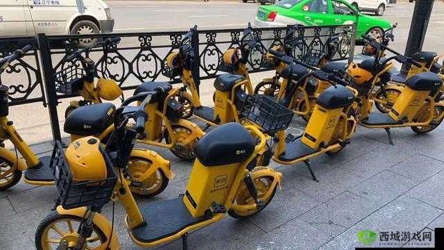 肉肉的小黄车:独特出行新伙伴