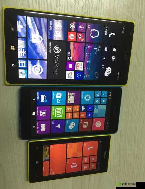 日本windowsphone 中国:关于其在特定领域的发展与前景探讨
