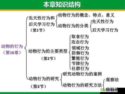 悠长假期中的动物好感度，作用、方法与意义深度解析