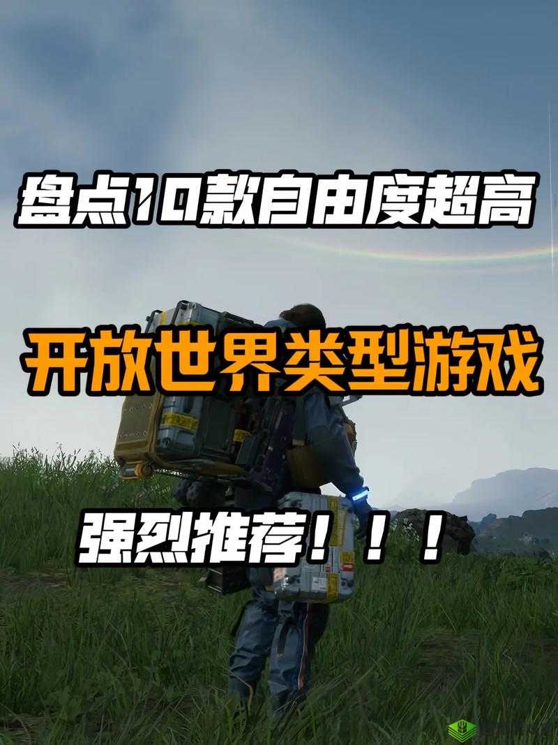 探索Steam 18+游戏中自由度高的全新体验：玩家如何在这些游戏中塑造自己的独特故事？