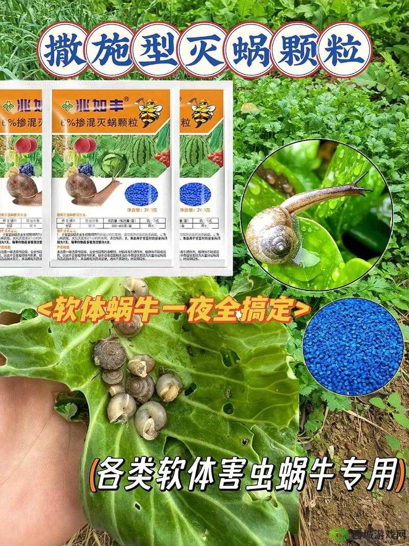 最强蜗牛原力结晶有什么用？是什么东西？